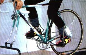 ciclista.jpg (23573 byte)