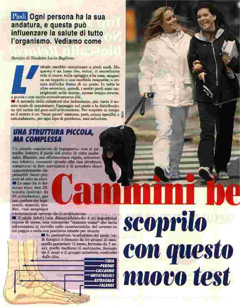 viversani2.jpg 